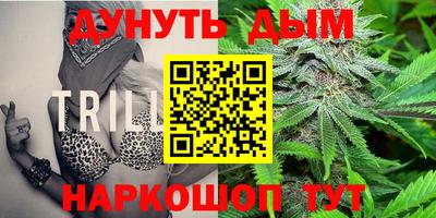 молекула духа Жуковский