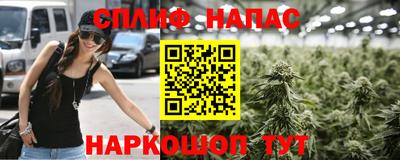 молекула духа Жуковский