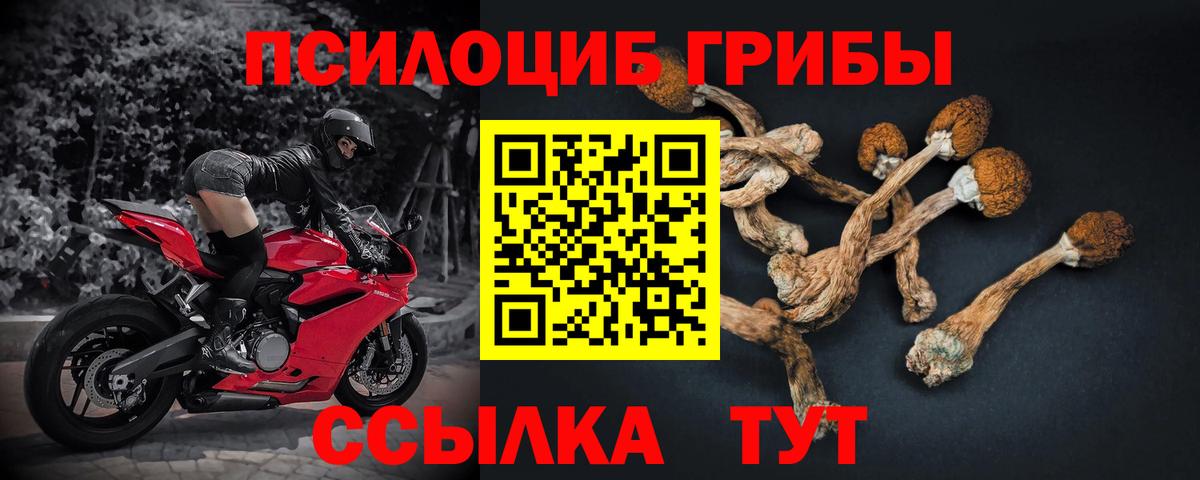 Галлюциногенные грибы MAGIC MUSHROOMS  сколько стоит  Вход с VPN  Красноуфимск  Псилоцибиновые грибы Psilocybine cubensis 