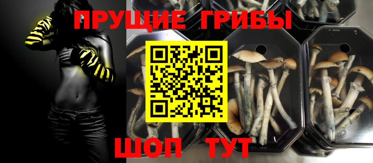 Псилоцибиновые грибы ЛСД Красноуфимск